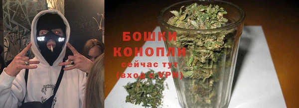 гашик Вязьма