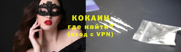 гашик Вязьма