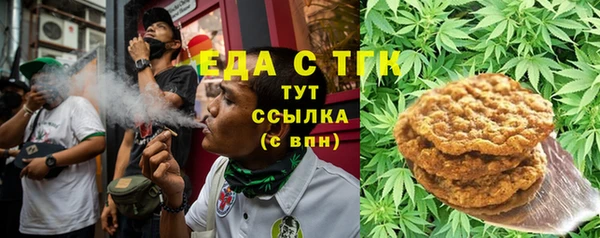 mdpv Вяземский