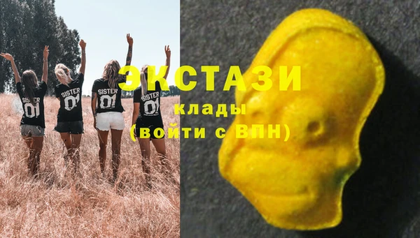mdpv Вяземский
