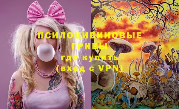 гашик Вязьма
