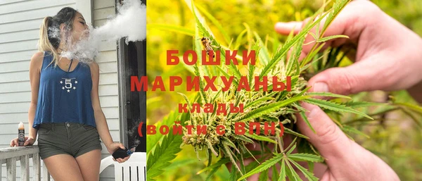 mdpv Вяземский