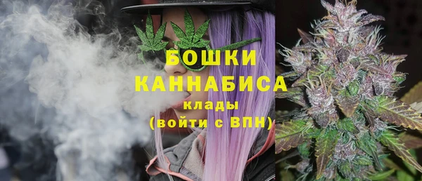 mdpv Вяземский