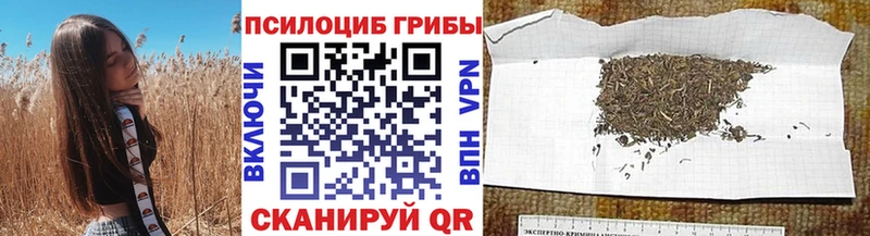 Галлюциногенные грибы прущие грибы  нарко площадка формула  Иркутск 
